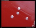 enterococcus faecalis